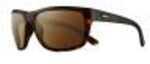 Revo Brand Group Remus Sunglasses Matte Tortoise Frames Terra Serilium Lens Md: 1023 02