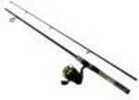 Daiwa D-Shock Freshwater Spinning Combo 1 Bearing 6 Length 2 Piece Rod Medium/Light Power Fast Action