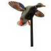 Mojo Decoys Elite Series Mini Mallard Drake md: HW2470