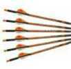 Ravin Crossbows Carbon Bolt 20" Length 2" Vanes with .001 Straightness Black Package of 6
