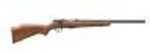 Savage Arms 93R17 Series GV 17 HMR 21" Barrel 5 Round AccuTrigger Bolt Action Rifle 96701