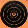 Birchwood Casey Big Burst Targets 12" Round 36123