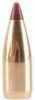 Nosler 204 Caliber 32 Grain BT/100 35216