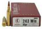 243 Winchester 20 Rounds Ammunition Nosler 85 Grain Soft Point