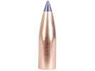 Nosler 6mm/243 Caliber 55 Grains Ballistic Tip Lead Free (Per 100) 45170
