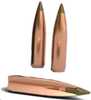 Nosler 30 Caliber 168 Grains E-Tip Bullets (Per 50) 59415