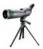 Tasco World Class Spotting Scope 20-60x80mm, Gray/Black Porro Prism, 45 Degree Eyepiece WC20608045