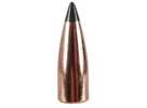 Nosler 6mm (.243") 55 Grains Varmageddon Flat Base Tipped Bullets per 100 No 7250