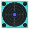 Birchwood Casey Shoot N-C 20cm Target UIT 25/50M Per 30 34082