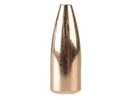 Barnes Bullets Varminator 6mm (.243") 58 Grains Hollow Point Flat Base/100 24329