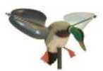 Mojo Decoys Wind Duck