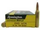 243 Winchester 20 Rounds Ammunition Remington 80 Grain Soft Point