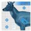 Champion Traps & Targets Deer X-Ray 25X25 6/Pack 45902