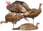 Dave Smith Decoy Turkey Flock Model: TUF