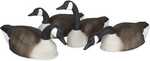 Flambeau Shell Pack Canada Goose 4 pk. Model: 8866SGS