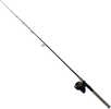 Daiwa Bg Saltwater 1 Piece 6+1 7' Spin Combo