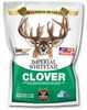Whitetail Institute Imperial Clover 1/4 Acre 2Lb Spring / Fall