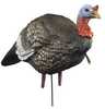 Higdon Decoys Hard Body 1/4 Strut Jake Multi Color Turkey