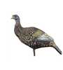 Higdon Decoys Hard Body Upright Hen Multi Color Turkey Hen