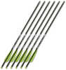 Bear X True X Crossbow Arrows 20in