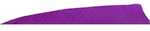 Gateway Shield Cut Feathers Purple 4 in. LW 50 pk.  