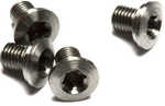 Tin TORX Grip SCREWS, 4 Per PAK