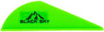 Bohning Black Sky Vane 2 in. Neon Green 36 pk. Model: 10901NG2