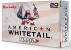 Hornady American Whitetail 243 Win 95 gr 20 Per Box