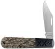 Case 53165 May Cut Of The Month Crossroads Fossil