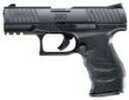 Walther PPQ M2 Pistol 22 Long Rifle 4"Barrel Adjustable Sight 12 Round Black Polymer Grip
