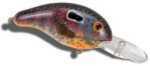 Bandit Lures Dr 1/4 2" Sun Perch