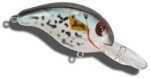 Bandit Lures MR 1/4 2" CRAPPIE MR1D38