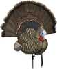 Avian-x Trophy Tom 
