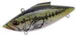Bill Lewis Lures Rat-L-Trap 1/2 Yearling Bass Md#: RT-30