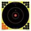 Birchwood Casey Shoot-N-C Targets: Bull's-Eye SRC-5 12" Round 200 Yard (5 Pack) 34012