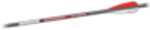 Bloodsport Witness Crossbow Bolt 20" 300 Spine 6/Pk