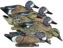 Higdon Outdoors 19953 Standard Blue Wing Teal Species Multi Color Foam Filled 6 Pack