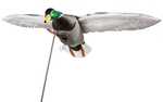 Higdon Outdoors Motion Decoy Clone Drake Mallard