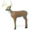 BK Archery Delta Riverbottom Buck Target Challenger 3-D 50455