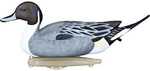 Flambeau Classic Decoy Pintail 6 pk. Model: 8022SUV