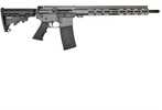 Great Lakes Firearms & Ammo Semi-Auto Rifle 223Wylde 16" Barrel (1)-30Rd Mag Tungsten/Nitide Finish