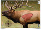 Birchwood Casey Bc-35404 Pregame Elk Target Paper 16.50" X 24" 3 Per Pkg