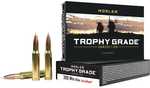 308 Winchester 20 Rounds Ammunition Nosler 165 Grain Ballistic Tip