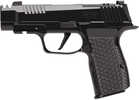 Sig Sauer P365 AXG LUXE 380 ACP 12+1 3.10" Carbon Steel Barrel, Black Pearlescent Cerakote SS Integrated Compensator/Optic Ready/Serrated Slide, Black Pearlescent Cerakote Stainless Steel Frame w/Picatinny Rail, Black LOK Panels Grip