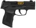 Sig Sauer P365 "Outlander Black" Handgun 9mm Luger 10rd Magazines(2) 3.1" Gold Barrel X-RAY 3 Sights Manual Safety - ON SALE!