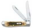 Case Cutlery Amber Series 6207 Stainless Steel Mini Trapper 00013