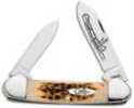 Case Cutlery Amber Series 62131 CV Canoe 00263
