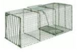 Duke HD X-Large Heavy Duty Single Door Cage Live Trap Steel Green 36" x 15" x 14" Coon
