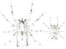 Lh Phantom Spider 2" White Wolf