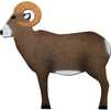 OnCore Archery Target Ram  